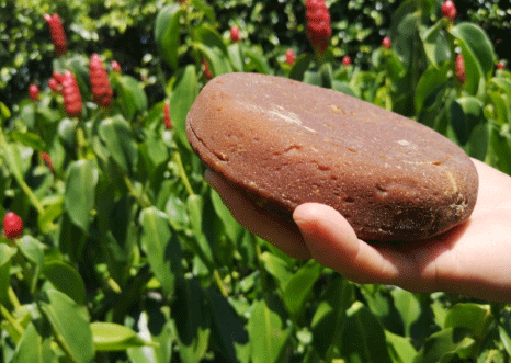 panela