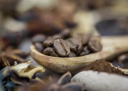 Catálogo de Café Social