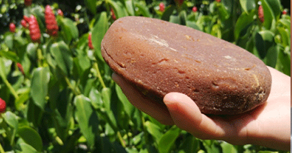 panela