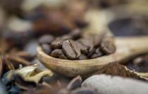 Catálogo de Café Social