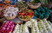 Catálogo para la Adquisición de Canastas Populares de Productos Agropecuarios en el Departamento de Nariño.